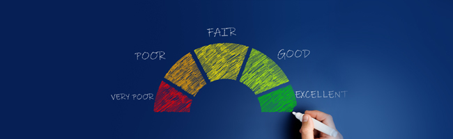 Checking CIBIL Score with PAN Number