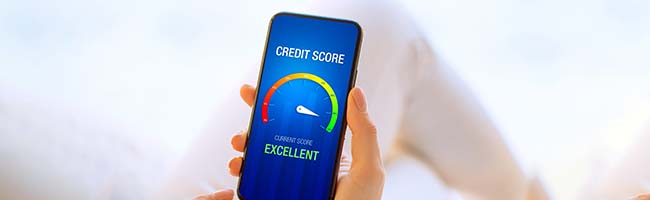 Checking CIBIL Score Online Methods